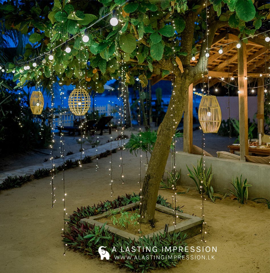 35 – Copy – Copy (2)